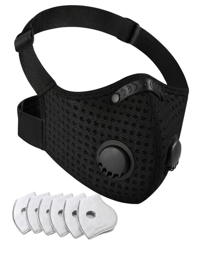 Pro Dust Mask
